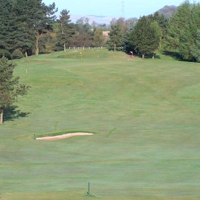Pierfrancesco De Simone - Hayston Golf Club